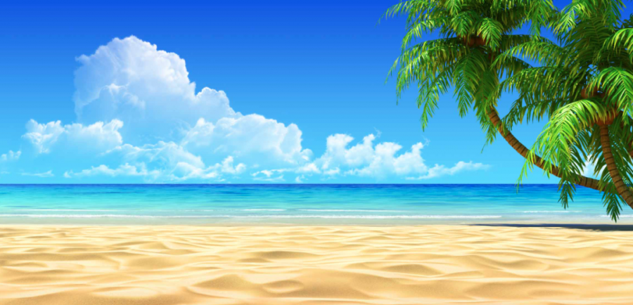 The beach is a relaxing and fun place for the whole family for vacation. Enjoying the sun and soaking in the fresh air is a great way to spend your summer.  
